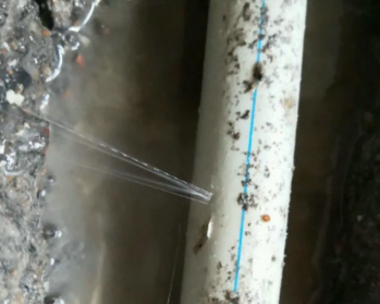 启东卫生间测漏水多少钱